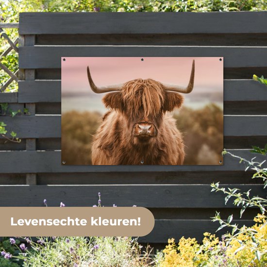 Un Highland coiffé de longues cornes courbées, accroché à une clôture en bois sombre, avec le texte 'Couleurs réalistes !'.