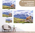 Poster met een koe in de Alpen in verschillende formaten.