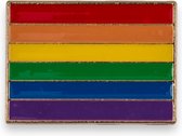 Badge Met Regenboog Kleuren Plate