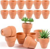 Terracotta, 20 stuks, kleiplantenpotten, 3,5 x 3 cm, mini-bloempot, terracotta met afvoergat, keramische plantenpot voor planten binnen en buiten, cactussen, vetplanten, huisplanten