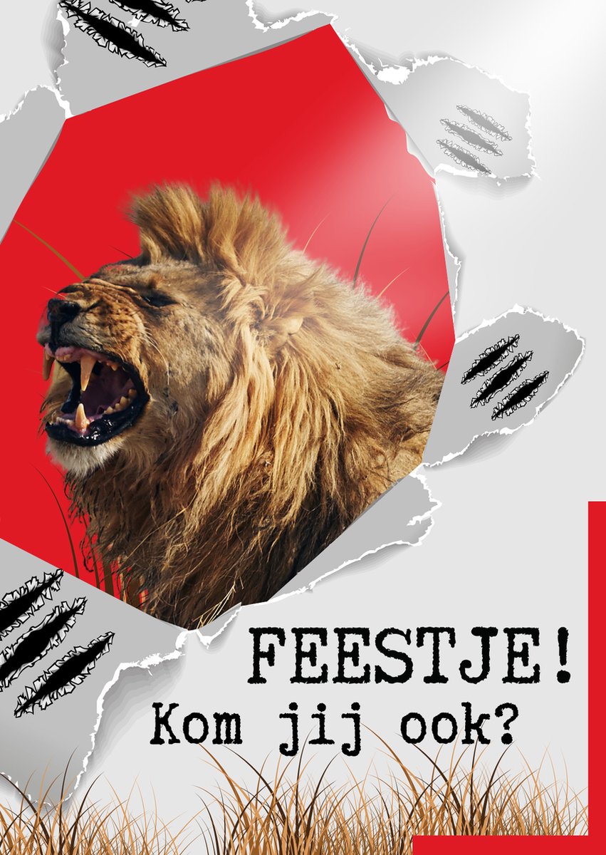 Lise Schrijft | Uitnodiging Kinderfeestje | Duurzaam | Jongen | Meisje | 15 ECO-kaarten | Leeuw | met leuke SLUITSTICKER | inclusief kraft ENVELOP | FSC Mix credit, EU Ecolabel, ECF gecertificeerd