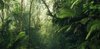 Komar Pure | tropenwelten | jungle | fotobehang op vlies 500x250cm