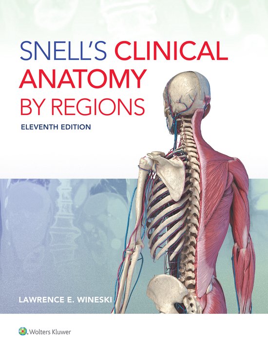 Snell's Clinical Anatomy by Regions - cover