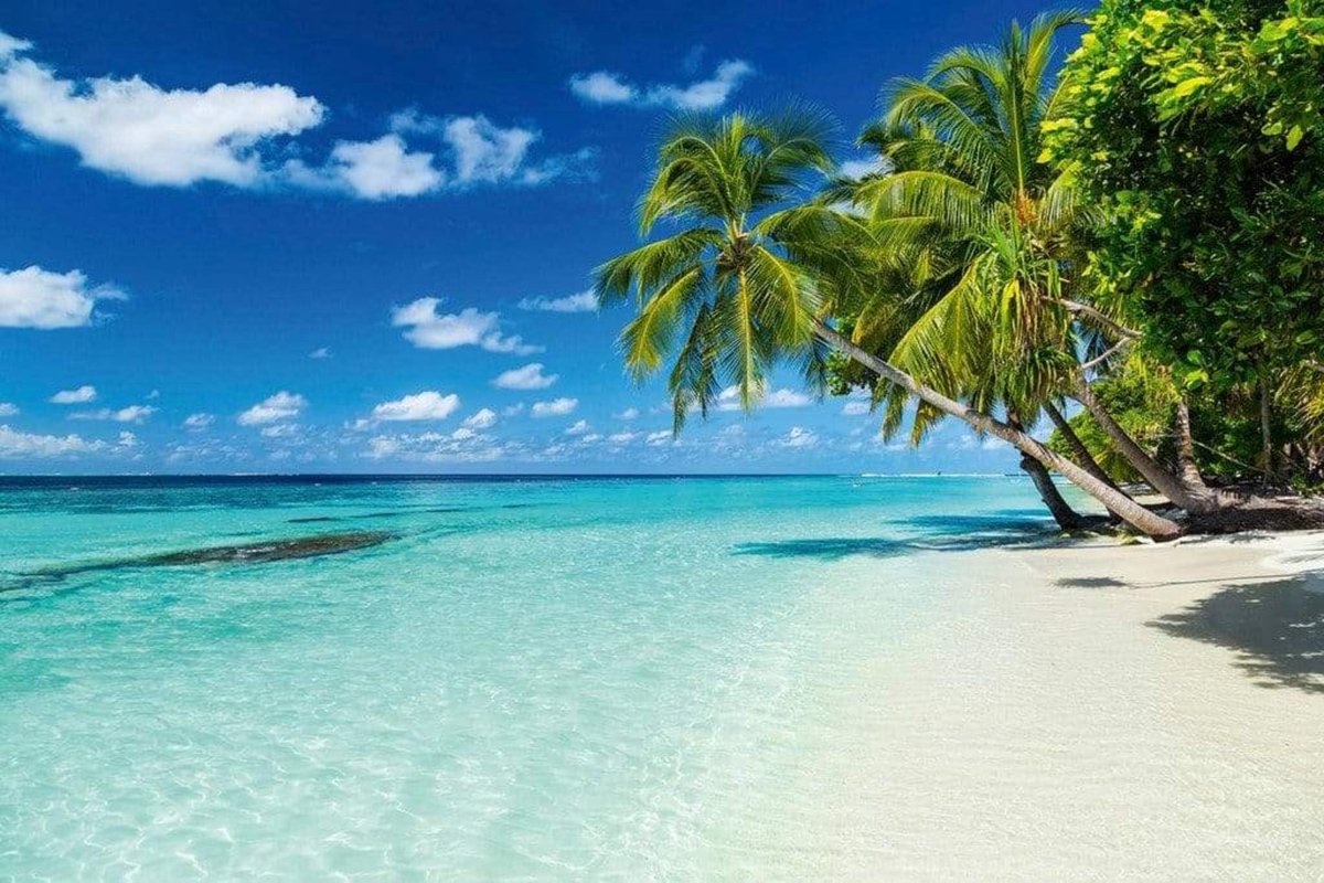 Fotobehang - Paradise Beach 375x250cm - Vliesbehang