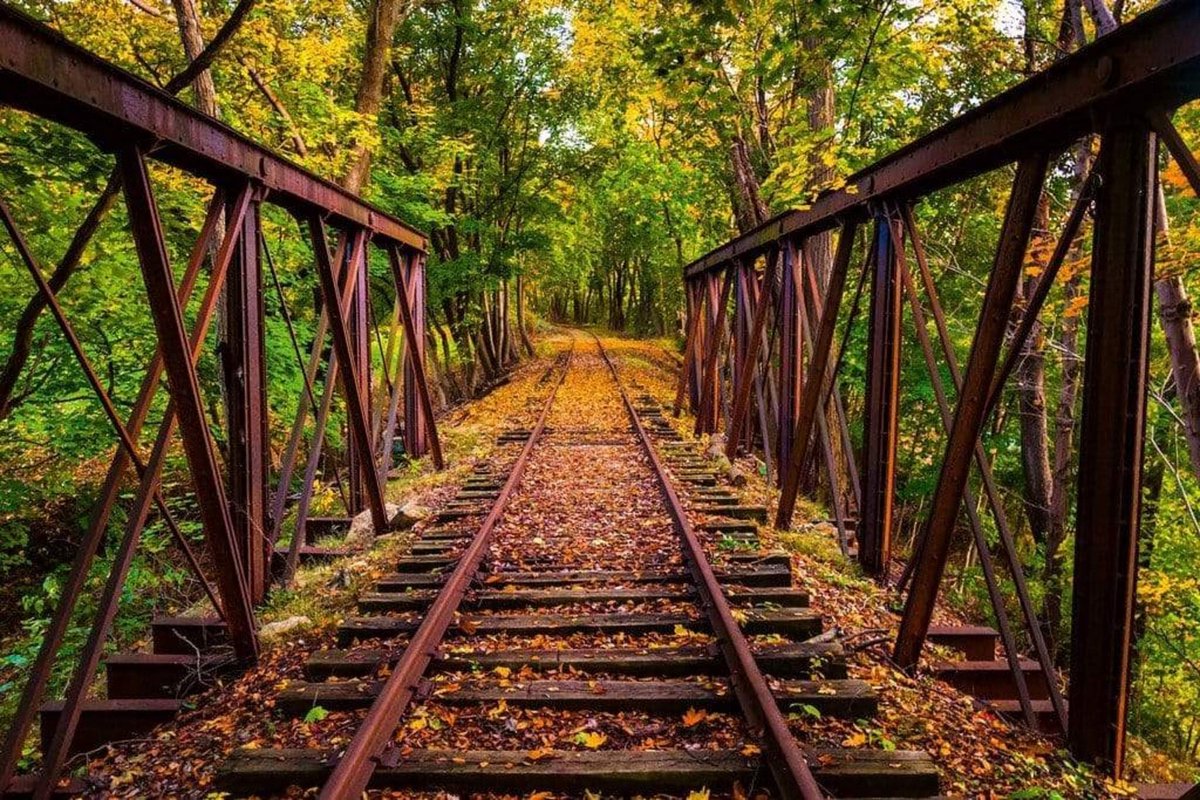Fotobehang - Railroad 375x250cm - Vliesbehang