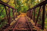 Fotobehang - Railroad 375x250cm - Vliesbehang