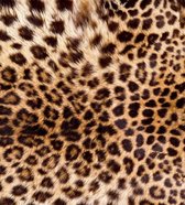 Fotobehang - Leopard Skin 225x250cm - Vliesbehang