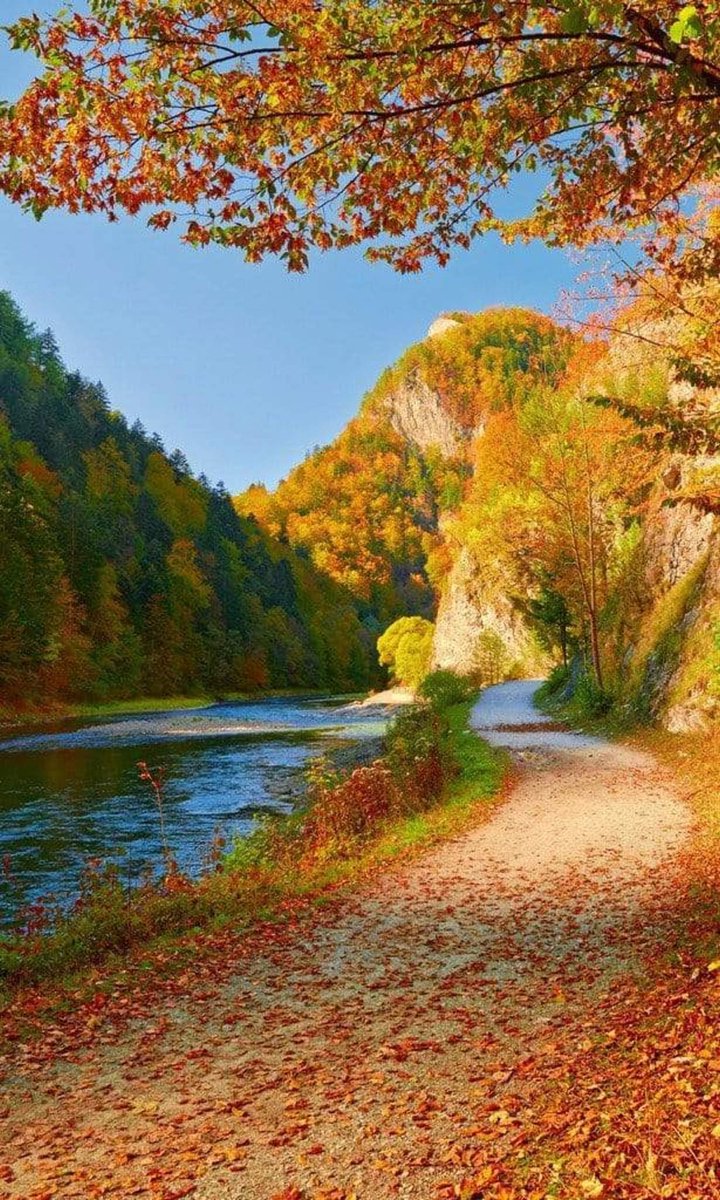 Fotobehang - Dunajec River 150x250cm - Vliesbehang