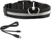 LED lichtgevende Halsband Hond - Sterk licht - Usb Oplaadbaar - Maat L 43 - 62cm - Zwart - Inclusief oplader