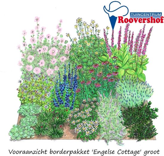 Foto: Borderpakket engelse cottage groot rozen lavendel anemonen en meer 42 planten 6 m 