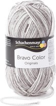 Schachenmayr Bravo Color 50 Gram - 2110