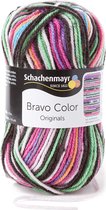 Schachenmayr Bravo Color 50 Gram - 2094