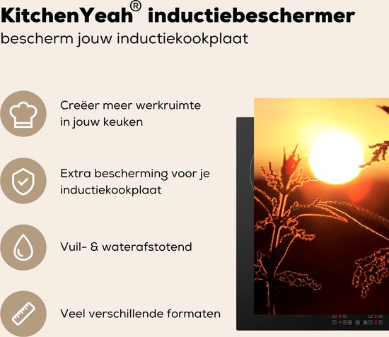 Een snijplank met een brandnetel in silhouet tegen een oranje zonsondergang, met icoontjes en tekst over de functies.