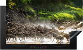 KitchenYeah® Inductie beschermer 91.6x52.7 cm - Leeuw jaagt op wilde dieren in het Nationaal park Serengeti - Kookplaataccessoires - Afdekplaat voor kookplaat - Inductiebeschermer - Inductiemat - Inductieplaat mat