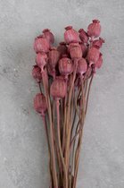 Couronne - Bundeltje gedroogde bloemen 'Papaver' (Old pink)