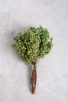 Couronne - Decoratiemateriaal 'Pepperberry' (200gr, Green)