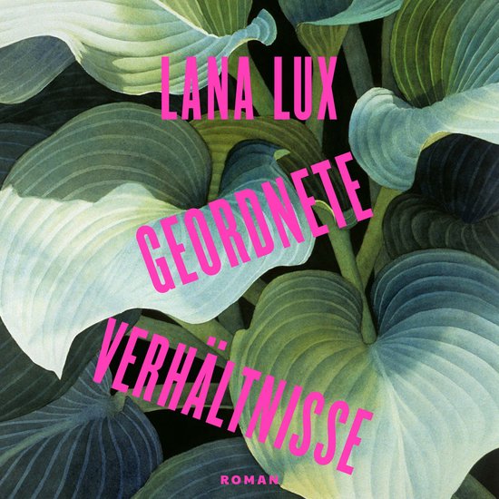 Geordnete Verhältnisse - cover