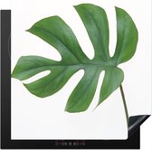 KitchenYeah® Inductie beschermer 78x78 cm - Botanisch blad op een witte achtergrond - Kookplaataccessoires - Afdekplaat voor kookplaat - Inductiebeschermer - Inductiemat - Inductieplaat mat