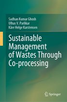 Sustainable Management of Wastes Through Co-processing