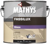Mathys Fassilux Gloss - Wit - 2.5L