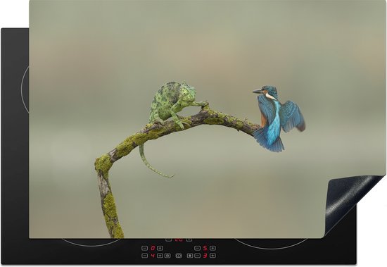 Inductiebeschermer met kameleon en ijsvogel op een zwarte inductiekookplaat.