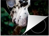 KitchenYeah® Inductie beschermer 77x59 cm - Kat - Hond - Deense Dog - Kookplaataccessoires - Afdekplaat voor kookplaat - Inductiebeschermer - Inductiemat - Inductieplaat mat
