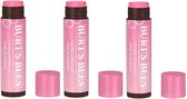 BURT'S BEES - Baume à lèvres teinté Pink Blossom - Paquet de 3
