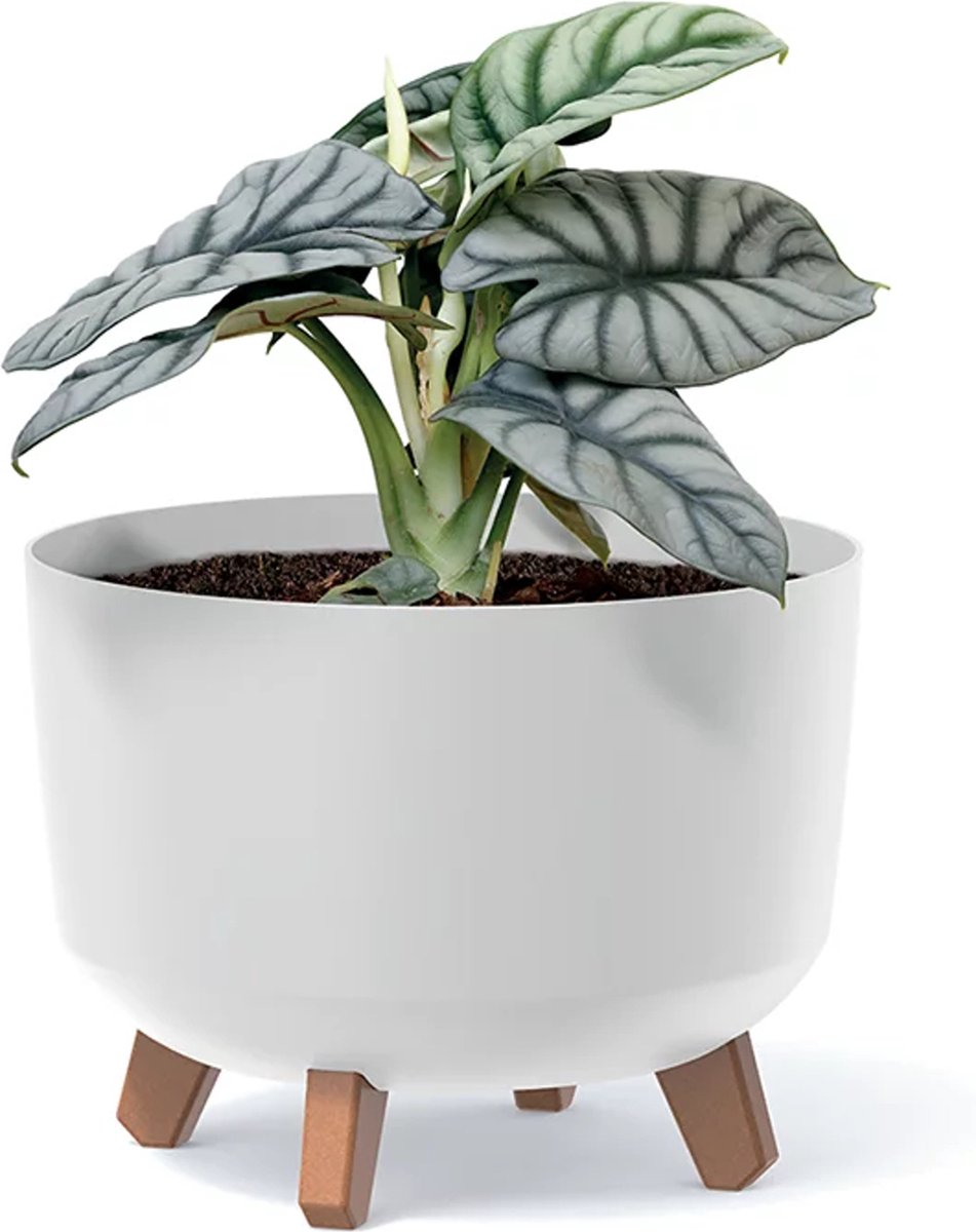 Prosperplast Gracia - Bloempot met pootjes - Plantenbak - Rond / diameter 200 mm - Wit