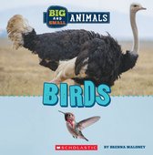 Wild World - Birds (Wild World: Big and Small Animals)
