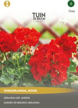 Tuin de Bruijn® zaden - Geranium rood - Tuingeranium - Geschikt voor borders en bloempotten