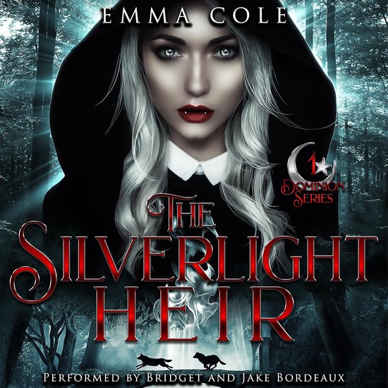 The Silverlight Heir - cover