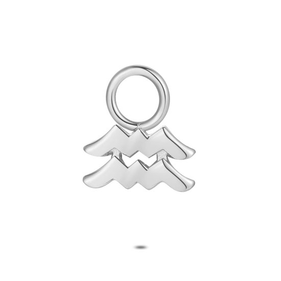 Zilveren Hanger voor Waterman Ooringen