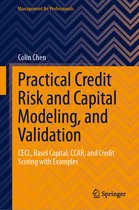 Management for Professionals- Practical Credit Risk and Capital Modeling, and Validation