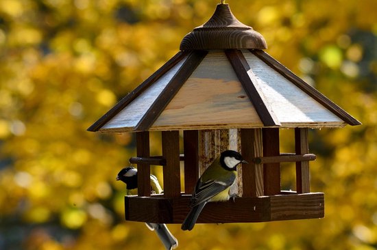 Vogelvoederhuis, Vogelhuis Voor Balkon, Weerbestendig, Met De Hand Gemaakt Van Natuurlijk Hout Vogelhuis Om Op Te Hangen In De Tuin En Op Het Balkon Voor Tuinvogels