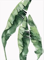 Lienz® Diamond Painting volwassenen 40x50cm – Rond – Bloemen - Planten – Volledig - Pakket Volwassenen