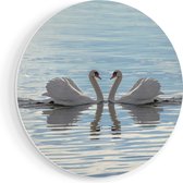 Artaza Cercle mural Forex Couple de cygnes sur l' Water - 40x40 cm - Klein - Cercle mural - Peinture ronde - Cercle de Décoration murale