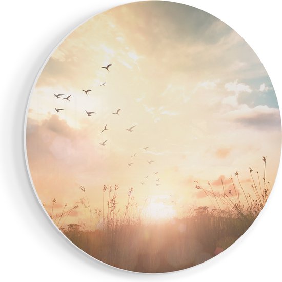 Artaza Forex Cercle mural Silhouette Vogels pendant le lever du soleil - 60x60 cm - Plaque murale - Cercle mural - Peinture ronde - Cercle de Décoration murale