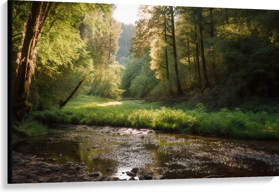 Canvas - Bos - Natuur - Water - Beekje - Stenen - Bomen - 120x80 cm Foto op Canvas Schilderij (Wanddecoratie op Canvas)