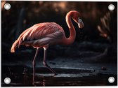 Tuinposter – Flamingo - Water - Kleuren - 40x30 cm Foto op Tuinposter (wanddecoratie voor buiten en binnen)