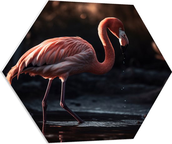 PVC Schuimplaat Hexagon - Flamingo - Water - Kleuren - 70x60.9 cm Foto op Hexagon (Met Ophangsysteem)