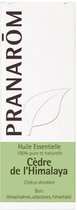 Pranarôm Himalaya Essentiële Cederolie (Cedrus Deodara) 10 ml