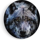 Artaza Forex Muurcirkel Grijze Wolvenkop - Wolf - 70x70 cm - Wandcirkel - Rond Schilderij - Wanddecoratie Cirkel - Muurdecoratie