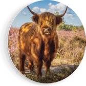 Artaza Forex Cercle mural Vache Highlander écossais dans la prairie - 90x90 cm - Groot - Cercle mural - Peinture ronde - Cercle de Décoration murale