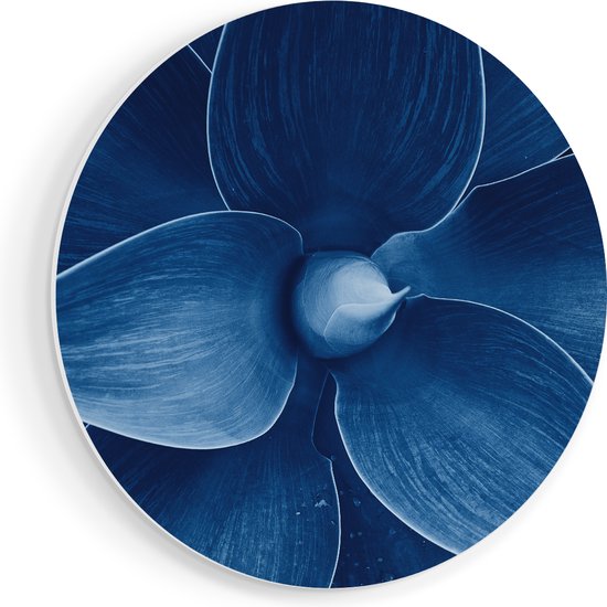 Artaza Forex Muurcirkel Blauwe Agave Plant - Bloem - 70x70 cm - Wandcirkel - Rond Schilderij - Wanddecoratie Cirkel - Muurdecoratie