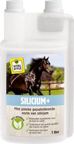 VITALstyle Silicium + - Paarden Supplement - Unieke Gepatenteerde Vorm Van Silicium - Met MSM & Glucosamine - 1 L