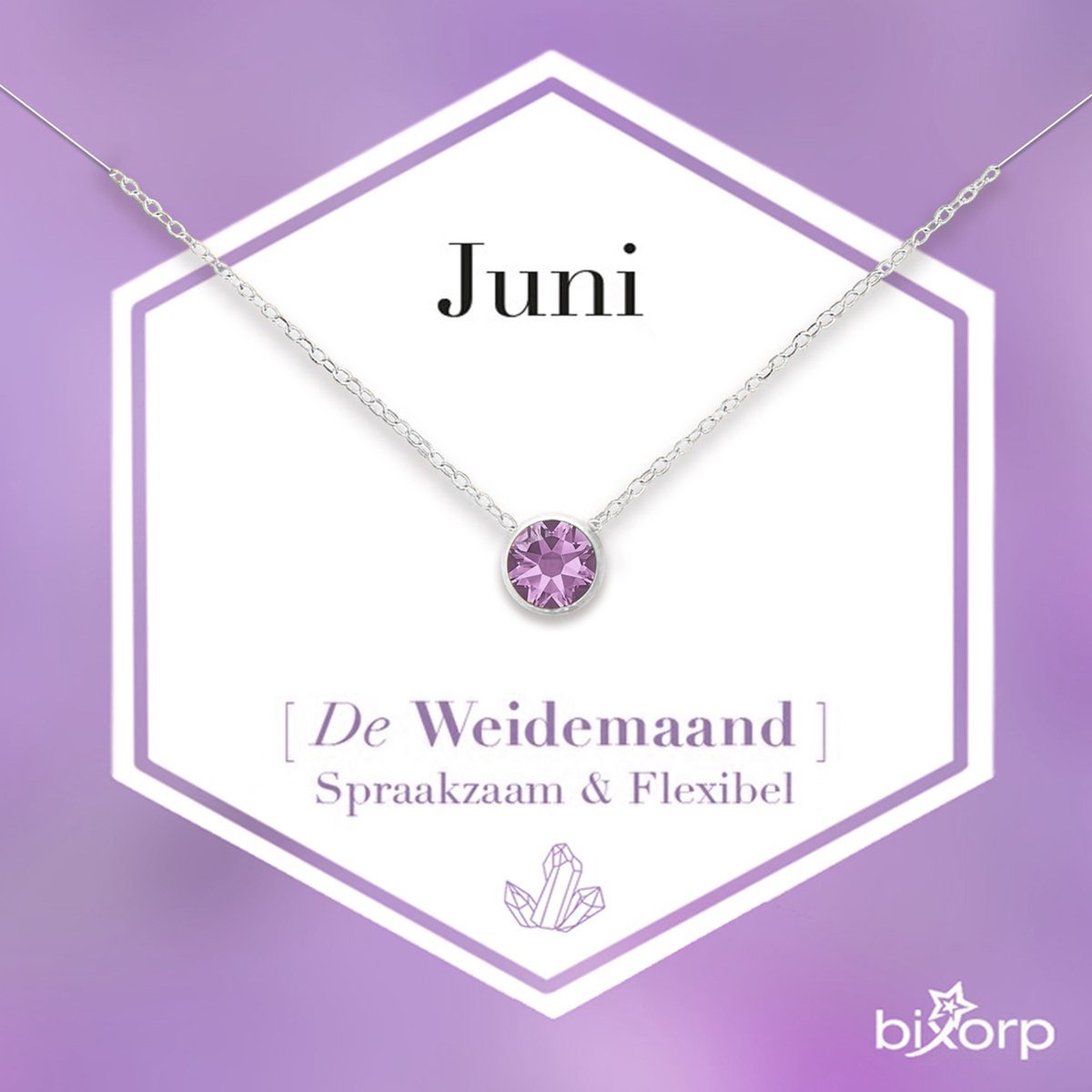 Bixorp Geboortesteen Ketting Juni - Zilverkleurig Roestvrij Staal met Zirkonia Hanger - Stainless Steel - Alexandriet