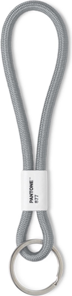 Pantone Sleutelhanger - Silver 877 C - Keycord Klein - by Copenhagen Design