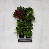 Mon Jardin Vertical - Pour Intérieur - Pack de Démarrage Complet (Petit) 30cm x 60cm - 8 Plateaux - Jardinière au mur - Mur végétal - Mur végétal - Potager Vertical - Bac de balcon - Mur végétal - Mur végétal