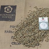 Ethiopië Yirgacheffe - ongebrande groene koffiebonen - 1 kg