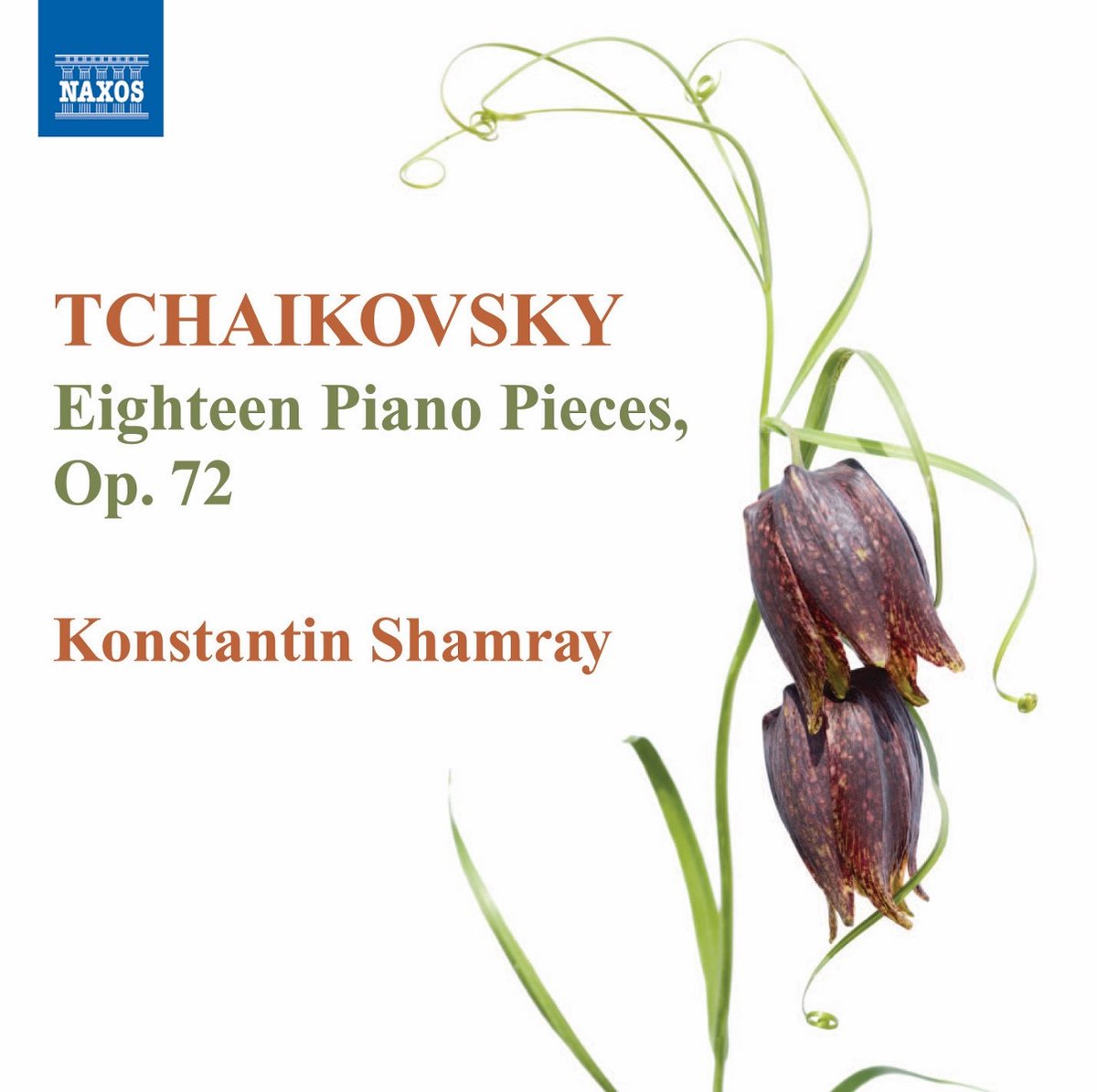 Konstantin Shamray - Tchaikovsky: Eighteen Piano Pieces, Op.72 (CD)